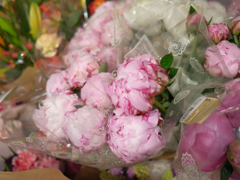 Bouquet de pivoines Pivoine Festive pour anniversaire livraison interflora