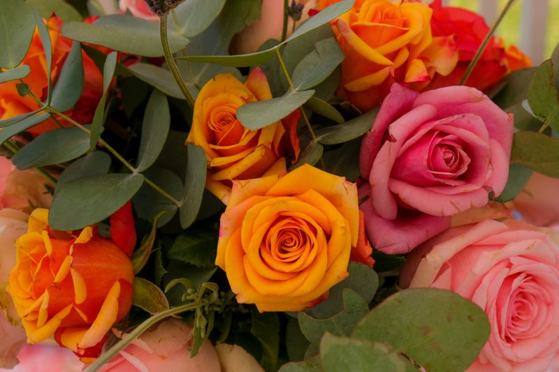Bouquet de fleurs d'été Été Provençal lavande et tournesols interflora