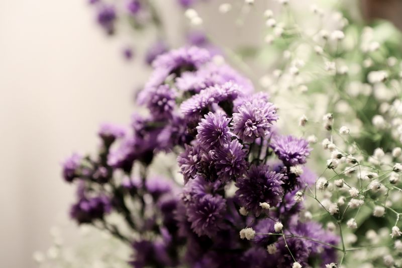 Bouquet condoléances fleurs blanches et violettes